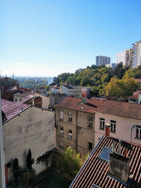 Appartement niché dans le pittoresque quartier Bissardon à quelques pas de la Cr Lyon, France Appartement 70m2 Bissardon proche Croix-Rousse Entire rental unit vacation rental 30140774