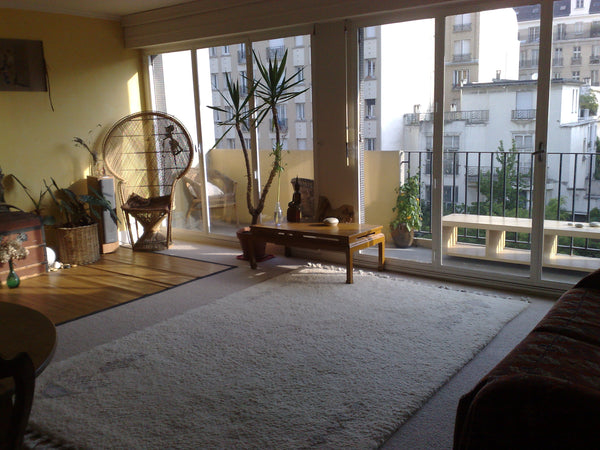 70m2, confortable, clean, quiet, very bright appartment. 20 min from the center  Paris, France 2/3 rooms70m2 PARIS quiet, bright, 2 big balconies Entire rental unit vacation rental 33814