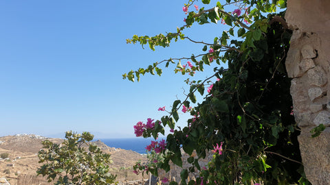 A cosy home 3 minutes from Mykono's Airport. <br />It can accommodate up to 2 pe Greece Marina's Studio-2 km from the airport Entire home vacation rental 44427281