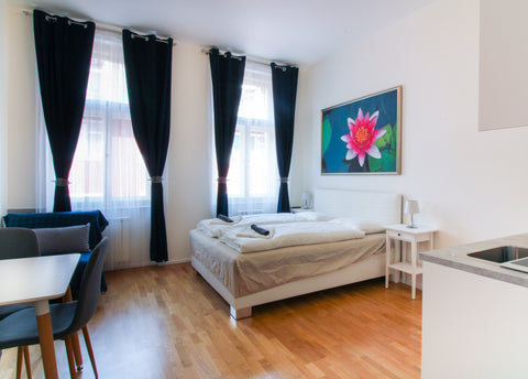 A spacious, bright, and fully furnished apartment in an excellent location in th Prague, Czechia Bouquet apartment 306 Entire rental unit vacation rental 39591852