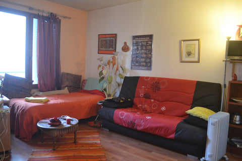 <b>The space</b><br />Mon grand studio entièrement meublé comprend un coin cuisi Paris, France Big beautiful studio in south Paris Entire rental unit vacation rental 1355480