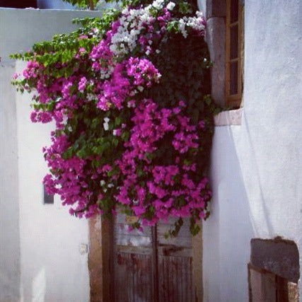 A gem right in the heart of Skala. A special place that has been renovated back  Stockholm, Sweden Amazing house in the heart of Skala, Patmos Entire home vacation rental 11429267