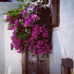 A gem right in the heart of Skala. A special place that has been renovated back  Stockholm, Sweden Amazing house in the heart of Skala, Patmos Entire home vacation rental 11429267