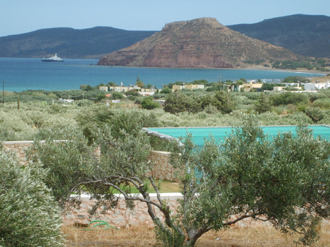 απο διακοσμηση  υπαρχουν πινακες    ζωγραφικης ,   ανθοδοχεια κλπ  διακοσμος...υ Kouremenos, Greece Agnanti 1 Entire rental unit vacation rental 18876216