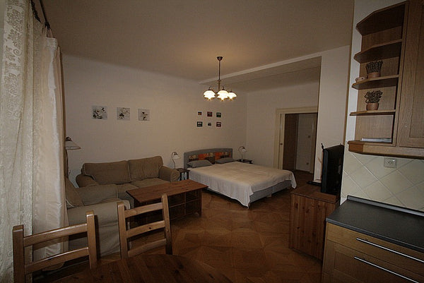 Prostorný apartmán o dispozici 2+kk, 50 m2, kapacita 4 lůžka, 3.nadzemní podlaží Czechia 0A. Anenská 220/13, Staré Město Entire rental unit vacation rental 32832072