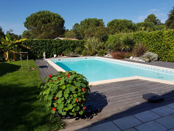 Réelle dépendance, entrée et terrasses privées. Parking sécurisé. En bonus vélos Nouvelle-Aquitaine, France Chambre Indépendante axe Bordeaux / Plages Private room in home vacation rental 25224644