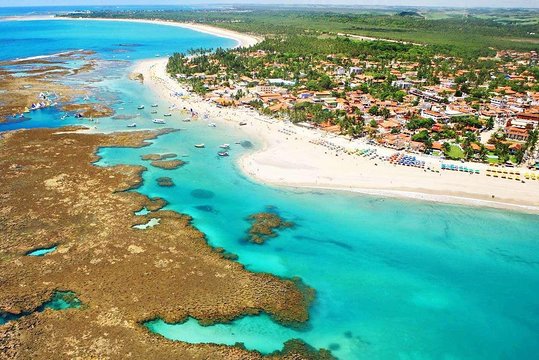 Porto de Galinhas Tour from Maragogi by Top Tours  Private Tours and Travel Guide America Maceio CITY Maragogi Destination Tour