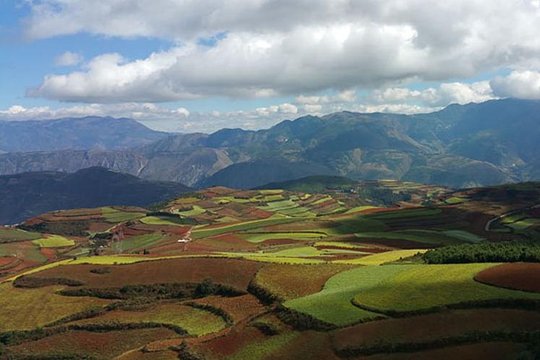 2 Days Dongchuan Red Land Private Trip Charge by Vehicle  Private Tours and Travel Guide Asia Shanghai CITY Kunming Destination Tour