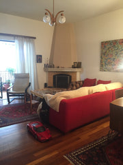 Dual aspect and sunny apartment 5min away the metro station Sepolia and 10 min a Athens, Attica, Greece Car gallery apt 5 min from metro st Entire rental unit vacation rental 12967404