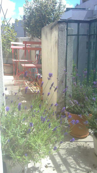 Such a pleasure to have breakfast or diner among flowers. My flat is in a very q Paris, France Flat with balcony Entire rental unit vacation rental 6947843