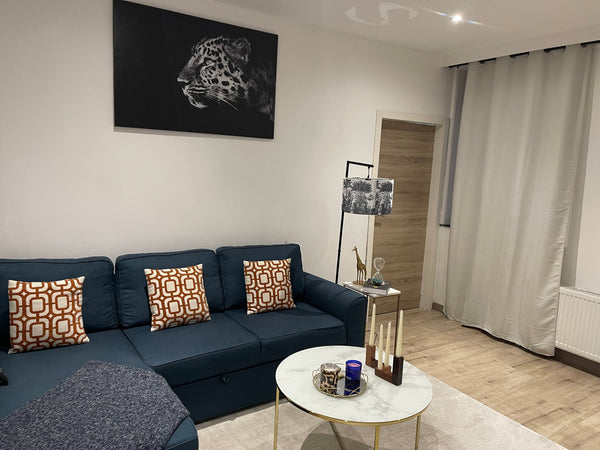 For an unforgettable star in Belgium, A nice apartment in Brussels located ten m  Appartement charmant et très cosy. Entire rental unit vacation rental 591715076590847279