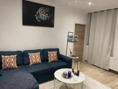 For an unforgettable star in Belgium, A nice apartment in Brussels located ten m  Appartement charmant et très cosy. Entire rental unit vacation rental 591715076590847279