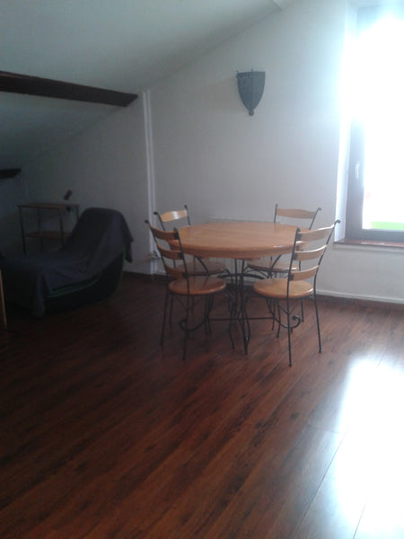 Entre loft et appartement, sous-pente lumineux tout équipé de 66 m² (40 loi Carr Lyon, France Joli loft en sous pente à Garibaldi Entire loft vacation rental 11335263