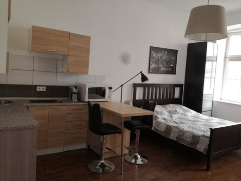 - Zentrale Lage neben Westbahnhof, Nähe Schönbrunn<br />- WC und Dusche <br />-  Saint Pölten, Austria Viktoria - Studio Apartment close to Westbahnhof Entire rental unit vacation rental 30001052