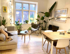 If you’re looking for an apartment with danish “hygge” and plants - then it’s a  Copenhagen, Denmark Cozy apartment at Nørrebro nearby metro Entire condo vacation rental 53374460