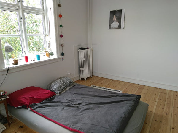 Spacious and sunlit sharted apartment<br /><br />The bedroom is part of a big ap Copenhagen, Denmark Sunlit room in pretty apartment & calm area Private room in rental unit vacation rental 51317892
