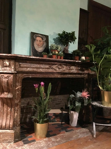 An exotical suite, hidden in the heart of one of Antwerps oldest and most beauti Knokke-Heist, Belgium Suite Exotique Room in boutique hotel vacation rental 28249176