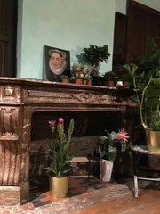 An exotical suite, hidden in the heart of one of Antwerps oldest and most beauti Knokke-Heist, Belgium Suite Exotique Room in boutique hotel vacation rental 28249176