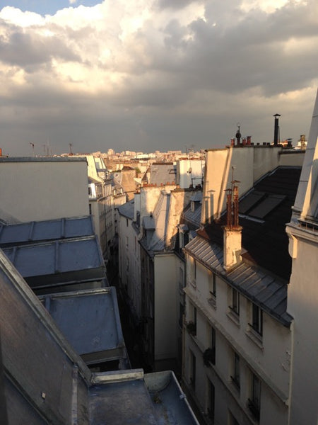 A charming apartment-40 square meters-overlooking roofs and sky, bright(5 window Paris, France Cosy nest under Paris roofs Entire rental unit vacation rental 5238522