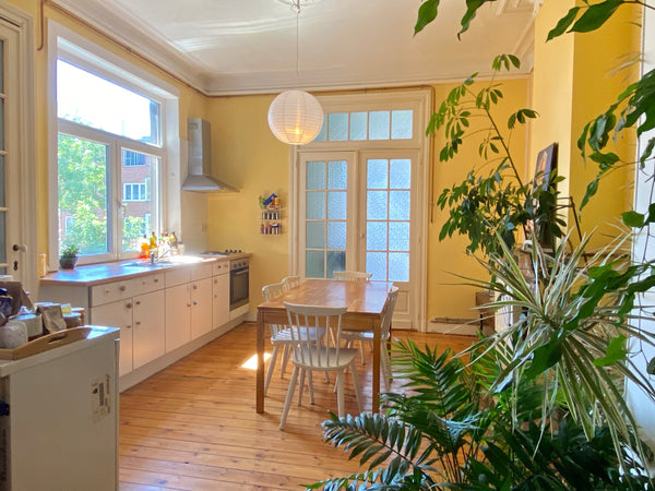 A humble and functional 100-meter square apartment in a quiet, green and residen Brussels, Belgium Spacious & Humble flat in a house from 1912 Entire rental unit vacation rental 36176204