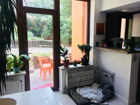 Bonjour, je vis dans cet appartement à l’année et le mets à dispo qd en vacances Brussels, Belgium appartement avec jardin au calme / proche CEE Entire rental unit vacation rental 36804266