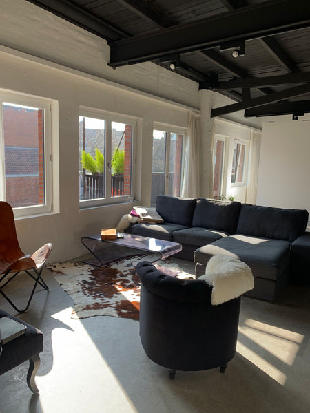 Séjournez dans ce loft spacieux de 100m2 au coeur du quartier sud d'Anvers (Antw  Loft spacieux au coeur d'Anvers Zuid Entire loft vacation rental 590973805647587382