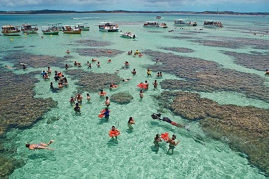 Tour to Maragogi from Maceió  including Natural pools by Edvantur  Private Tours and Travel Guide America Maceio CITY Maceio Destination Tour