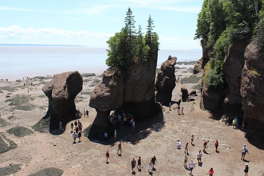 Private Full Day Tour to Hopewell Rocks from Saint John  Private Tours and Travel Guide America Moncton CITY Saint John Destination Tour