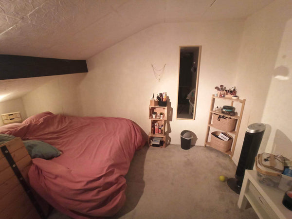 Nous louons une chambre dans notre T3, celle ci est accessible par un petit esca Lyon, France location chambre Valmy Private room in rental unit vacation rental 771167934586973935