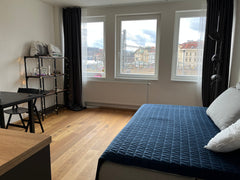 Enjoy a stylish experience at this centrally-located place.<br /><br /><b>The sp Singapore Comfortable new studio in Prague 2 for short stay! Entire condo vacation rental 556556457044309203