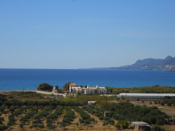 The one-of-a-kind neo-classical villa built in the ancient Greek style has large Vienna, Austria Unique neo-classical luxury sea front villa for 10 Entire villa vacation rental 16922124