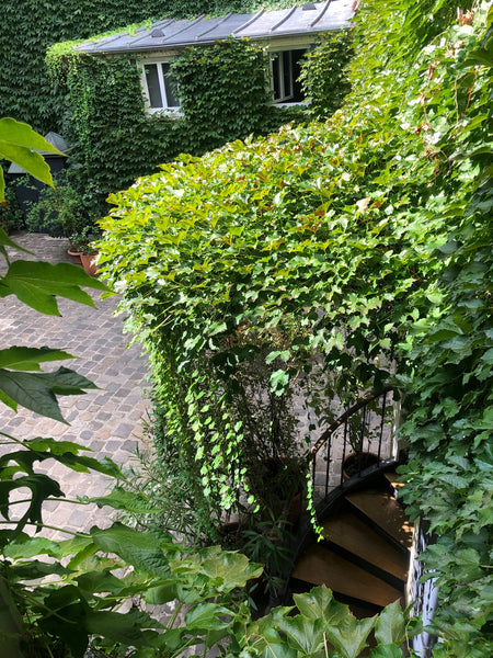 Paris, France A Cozy Vacation Studio with EVERYTHING you need! Entire rental unit vacation rental 29026496