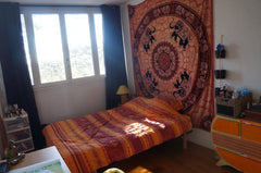 Je mets à disposition une des chambres de mon appartement. Situé sur le plateau  Lyon, France Ch avec vue sur parc arboré et Lyon Private room in rental unit vacation rental 12511709