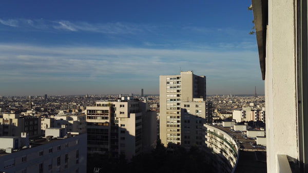 Comfortable flat, south oriented (65m²), perfectly equiped with a wonderfull vie Paris, France Apt F3, panoramic view on Paris, Buttes-Chaumont Entire condo vacation rental 12651904