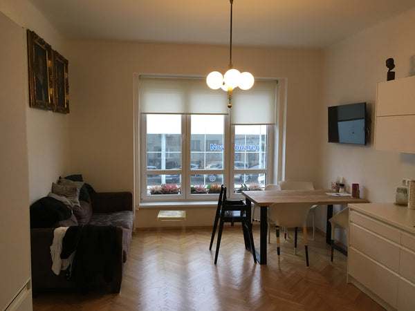 Welcome to our cosy, sunny and newly renovated apartment situated close to histo Prague, Czechia Quiet & cozy  apartment in Prague Entire rental unit vacation rental 33007580