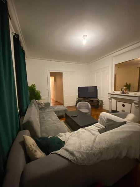 Un appartement spacieux et paisible.<br />L'ensemble du groupe bénéficiera d'un  Lyon, France Grand Appartement - Lumières Entire rental unit vacation rental 772479295061148325