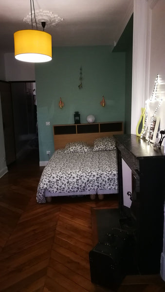 Lyon, France Grande chambre dans un appartement lyonnais du 19è Private room in rental unit vacation rental 39499054
