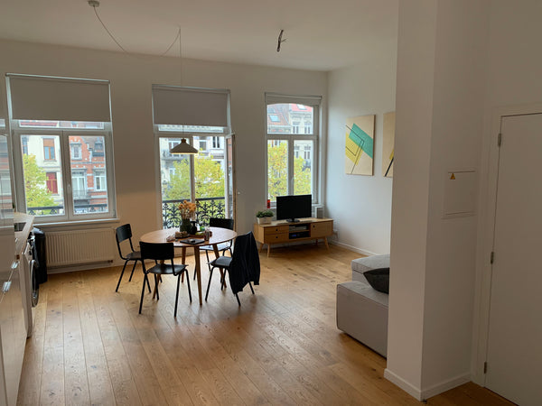 This private, cosy and comfortable flat is near the canal and the vibrant Dansae Brussels, Belgium Cosy & comfortable private appartment in Brussels. Entire rental unit vacation rental 45908916