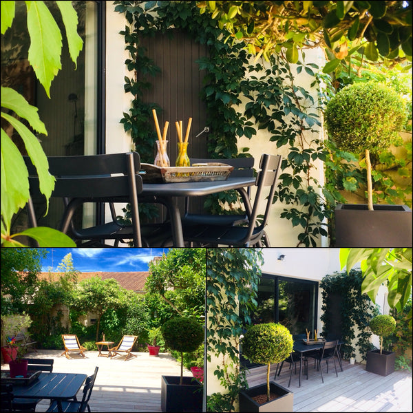 Echoppe Bordelaise avec jardin située à Bordeaux dans un quartier calme.<br />Le Bordeaux, France Chambre spacieuse ds une échoppe, Bordeaux Private room in townhouse vacation rental 18277422