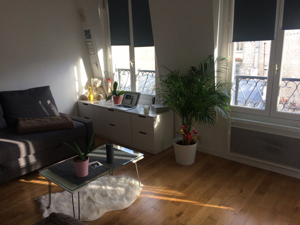 Au 6ème étage, sans ascenseurs, d'un immeuble haussmannien, ce studio de 19m2 bi Paris, France Studio Paris Batignolles Entire rental unit vacation rental 28408543