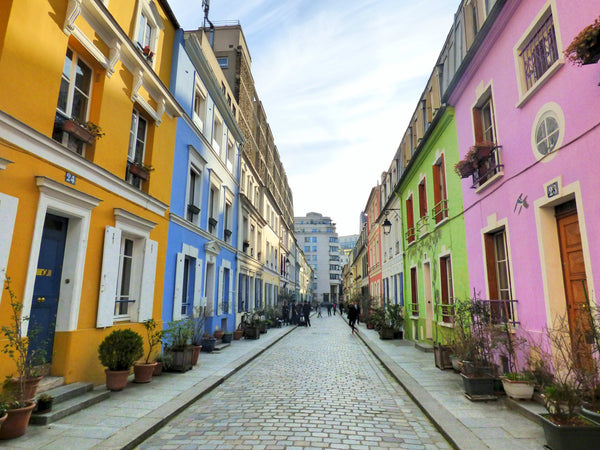 Venez profiter du cadre enchanteur de cette rue piétonne, tout près de la Seine  Paris, France Maison / rue piétonne / centrale Entire home vacation rental 3754831