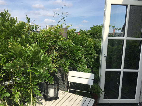 Halmeren, som vi kalder vores dejlige hjem, er en skøn, gammel penthouse-lejligh Aarhus, Denmark Hyggelig penthouse med solrig altan, Vesterbro Entire loft vacation rental 17870115