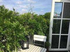 Halmeren, som vi kalder vores dejlige hjem, er en skøn, gammel penthouse-lejligh Aarhus, Denmark Hyggelig penthouse med solrig altan, Vesterbro Entire loft vacation rental 17870115