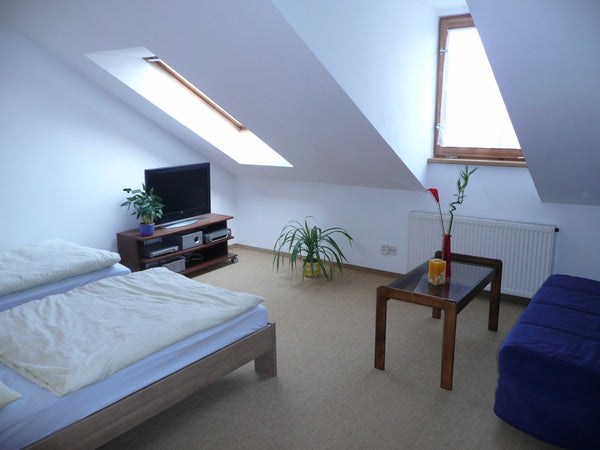 Cool  35  m2 attic studio next to the park Havlickovy sady - Grebovka. Relativel Prague, Czechia attic studio Vrsovice, secure parking free Entire rental unit vacation rental 4773528