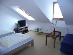 Cool  35  m2 attic studio next to the park Havlickovy sady - Grebovka. Relativel Prague, Czechia attic studio Vrsovice, secure parking free Entire rental unit vacation rental 4773528