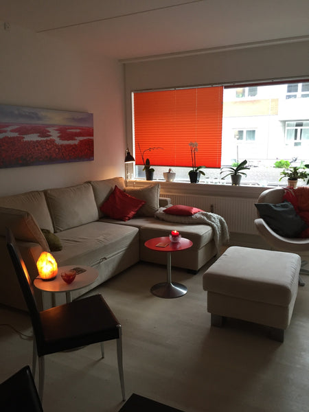 lille hyggelig lejlighed med solrig altan, centralt beliggende nær Nørreport Sta Copenhagen, Denmark Hyggelig lejlighed med solrig altan på Nørrebro Entire rental unit vacation rental 20042007