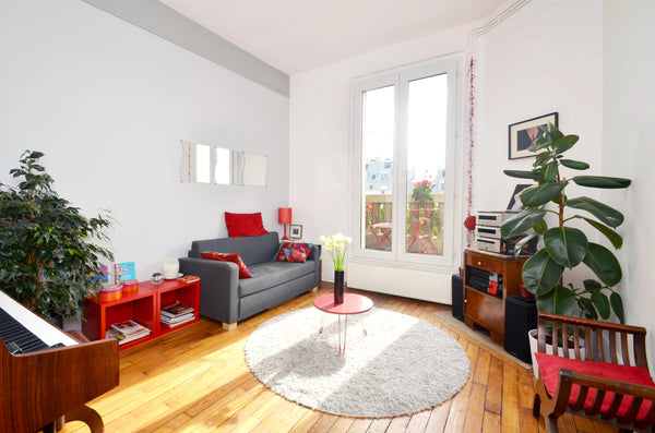 Typical 1930’s Parisian whole apartment with BALCONY, in the central and trendy  Paris, France Charming apartment Canal St Martin Entire rental unit vacation rental 61259
