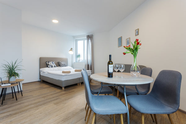 We are offering a studio apartment with sofa and fully equipped kitchen corner.  Prague, Czechia Harfa Studio #4 Entire rental unit vacation rental 31048915