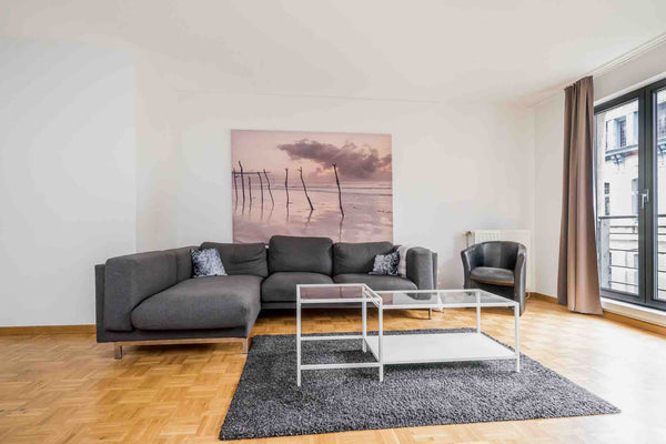 The whole group will enjoy easy access to everything from this centrally located  Lovely 3-bedroom apt at top location in Antwerp Entire condo vacation rental 566666773489509883