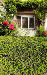 This luminous studio near the EU offices in Auderghem. <br />it's 15 minutes fro  Quartier Auderghm/Delta chambre calme et spacieuse Private room in home vacation rental 52484605